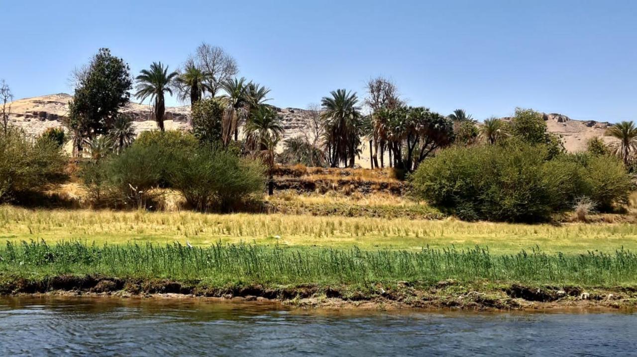 Habibi Nubian Guest House-Nubian Hospitality Асуан Екстер'єр фото