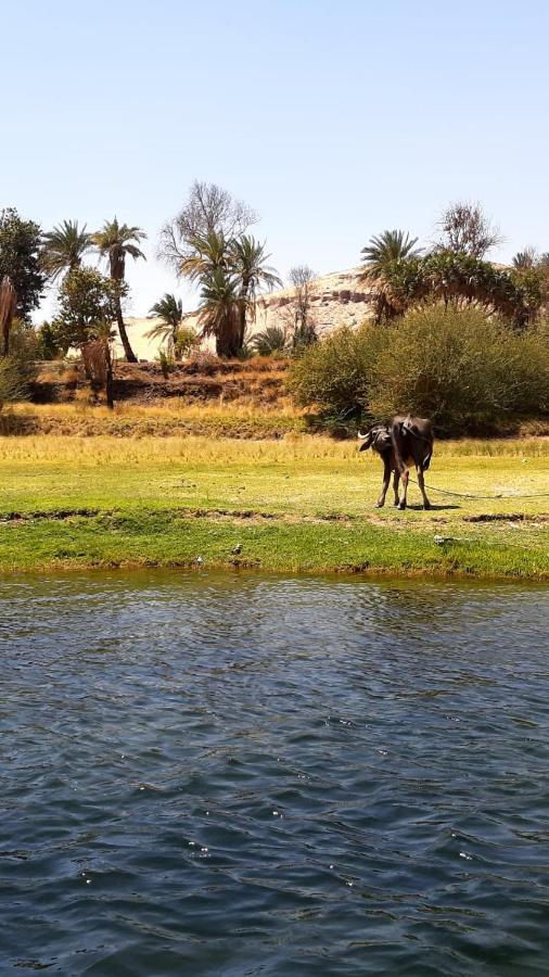 Habibi Nubian Guest House-Nubian Hospitality Асуан Екстер'єр фото
